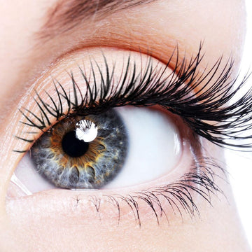 Lash Lift